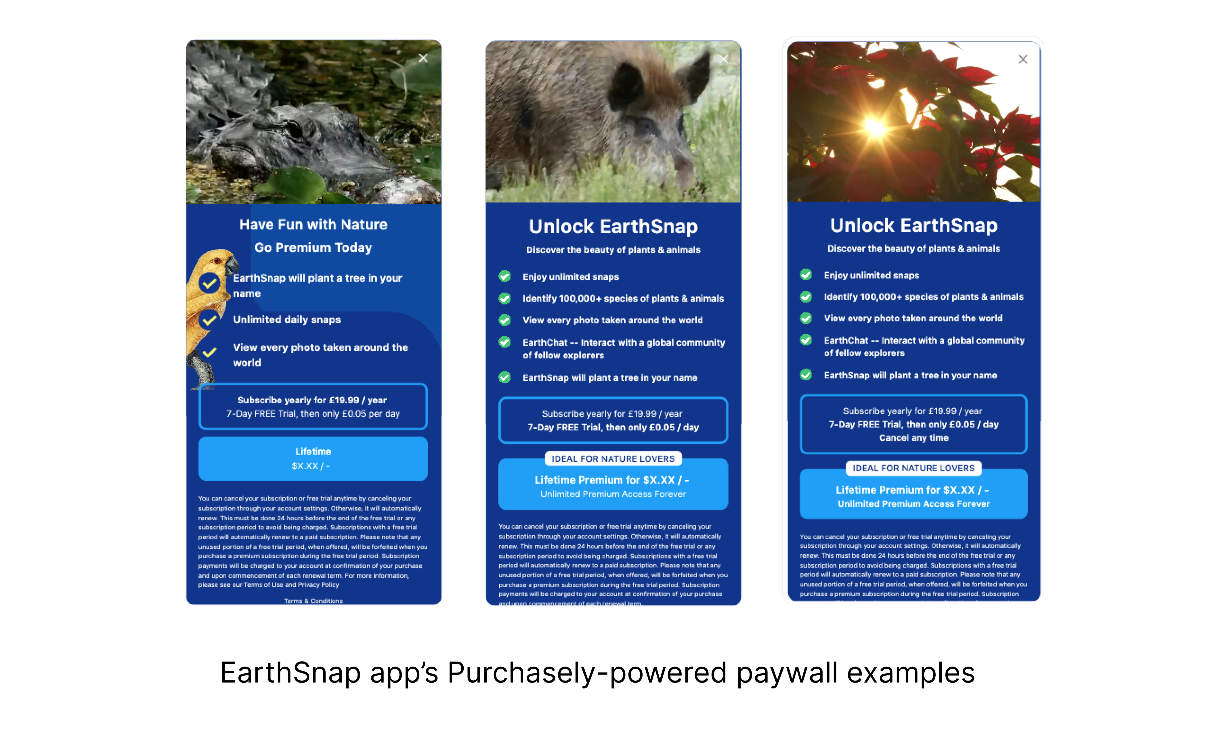 EarthSnap app's Purchasely-powered paywalls